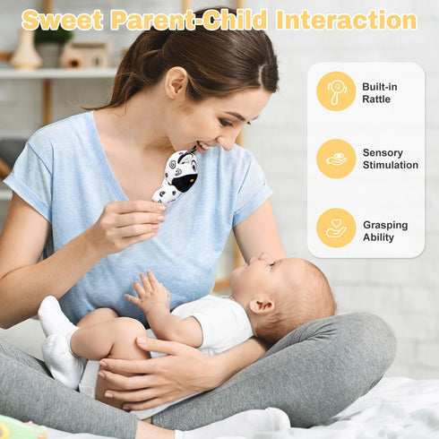 Set 0-6 iAOVUEBY Baby Shower Gifts, Baby Gift for Newborn, Black and White High Contrast Baby Montessori Toys Months