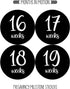 Pregnancy Weekly Belly Growth Stickers, Large Set of 36, Week to Week Photo Prop for Expecting Maternity Keepsake