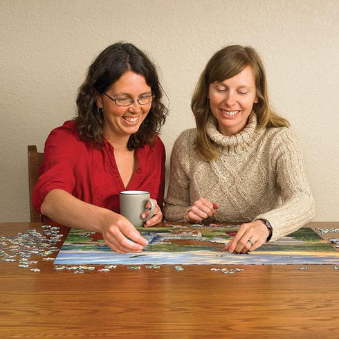1000 Cobble Hill Piece Puzzle - Lakeshore - Sample Poster Included