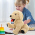 Dog Stuffed Animal, 15 Inch Large Golden Retriever Plush Hugging Pillow, Gift for Birthday, Christmas, Valentine's Day
