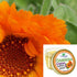 8OZ- (2-4 oz Calendula Comfrey Super Salve Jars), by Creation Farm Balm Soothes Baby Bottoms, Hand Cream for Dry