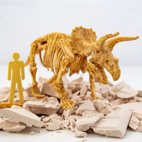 Science4you 10 6 7 8 9 10+ Triceratops Dinosaur Fossil Digging Kit - Excavate and Assemble Dino Bones, Dinosaur