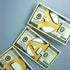 Money Dollar Bill Signs Theme Paper Happy Birthday Banner, Bill Pennant Banner Party Decorations