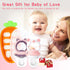 3-24 3 2-Pack Baby Fruit Food Feeder Pacifier - Fresh Food Feeder, Infant Fruit Teething Teether Toy for Months, Pcs
