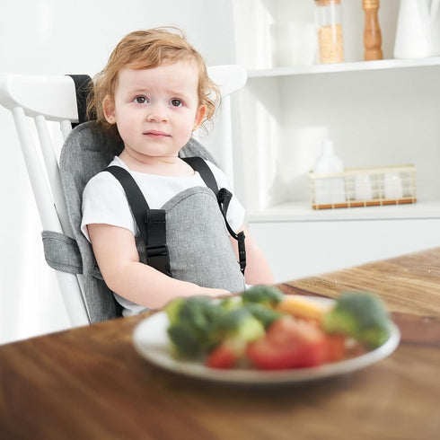 Baby Travel Essential Harness Seat, Portable Travel High Chairs for Babies/Toddlers, Baby Highchair Seat, Toddler