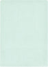 Hudson Baby Unisex Cotton Flannel Burp Cloths Bundle, Eucalyptus, One Size