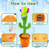 JAKCJFII 120 Adjust Volume Dancing Talking Cactus Baby Toy Singing Mimicking Recording Toys Repeats What You Say, Comes