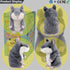 Talking Hamster, Interactive Stuffed Plush Animal, Talking Toy with Cute Sound Effects, Best Buddy for Kids Age 3+