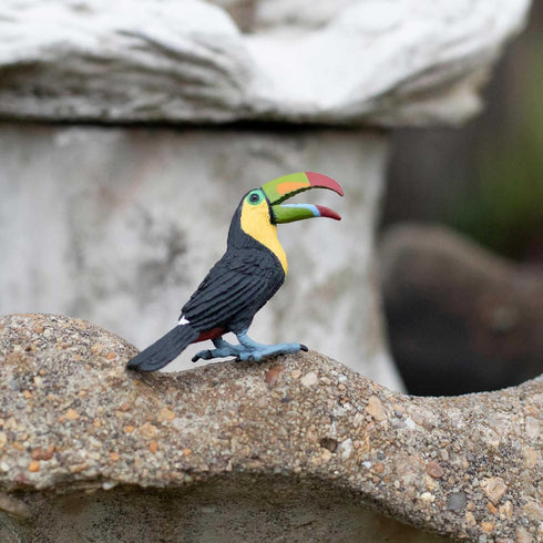 2.75" 3+ Safari Ltd. Toucan Figurine - Lifelike Bird Figure - Educational Toy for Boys, Girls, and Kids Ages