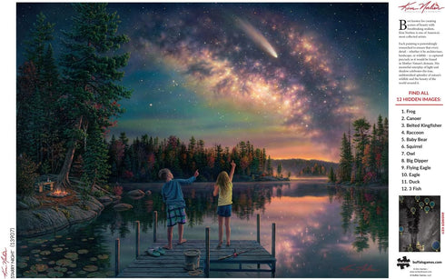 Buffalo Games - Kim Norlien - Starry Night - 1000 Piece Jigsaw Puzzle for Adults - 26.75 x 19.75