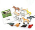 Farm Animal Toys with Flash Cards - 12 Sets of Realistic Figures, Educational Cognitive Toys for Toddlers