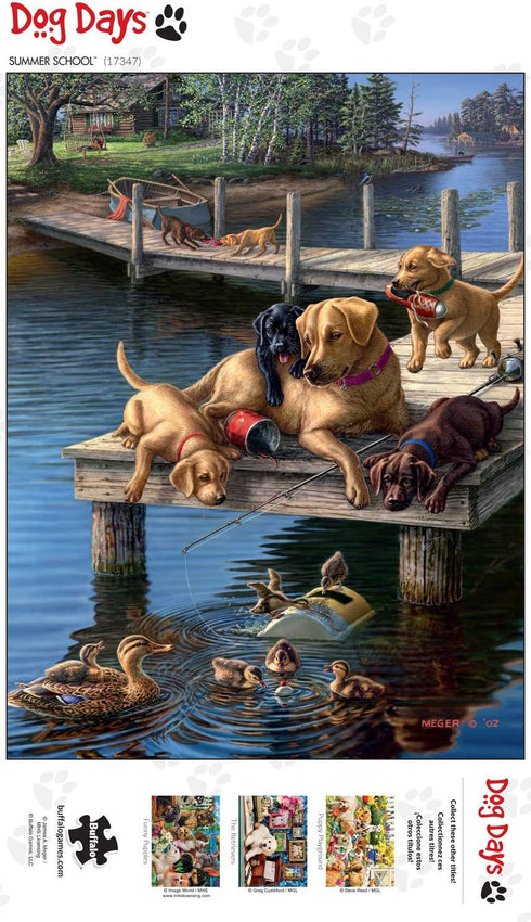 Buffalo Games - James A. Meger - Summer School - 750 Piece Jigsaw Puzzle for Adults - 24.00 x 18.00