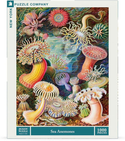 1000 New York Puzzle Company - Vintage Images Sea Anemones - Piece Jigsaw Puzzle for Adults by Ernst Haeckel