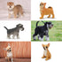 Toymany 12PCS Mini Dog Figurines Toy Set, Realistic Detailed Plastic Puppy Figures, Cake Toppers Gift