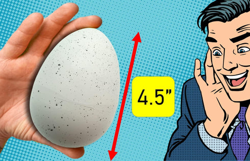 (6 1747-6s JA-RU Giant Dinosaur Egg Growing Toys Eggs) Magic Surprise Hatching Toys for Kids. Grow Dinosaur in Water.