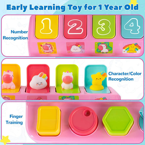 Tovol Zerky 1-3 9 12 18 Montessori Pop Up Cause and Effect Baby Toy for Years Old, Interactive Developmental Toy