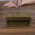 Coin Drop Game - Classic Board Game with 30 Metal Coins, 1 Dice, and 1 Specification