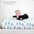 100% 28 52 1 Pack LollyBanks Fitted Crib Sheets for Boys, Soft Cotton Baby Boy Sheet, Fits Standard Size Mattress in x