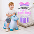 EVERICH TOY Unicorn Bouncy Horses, Inflatable Plush Hopping Toy for Toddlers, Outdoor & Indoor Bouncy Animals Gift
