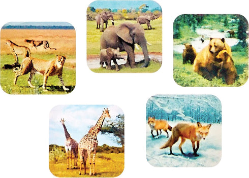 WARM FUZZY Toys 3D Viewfinder (Zoo Animals) - Classic Retro Slide Viewer with 3 Reels, 21 High Definition Images