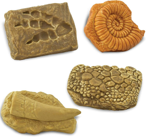 Ammonite, 3+ Safari Ltd. Ancient Fossils TOOB - Figurines: Dino Footprint, Giant Crab, Raptor Claw, T-Rex Tooth, Frog