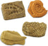 Ammonite, 3+ Safari Ltd. Ancient Fossils TOOB - Figurines: Dino Footprint, Giant Crab, Raptor Claw, T-Rex Tooth, Frog