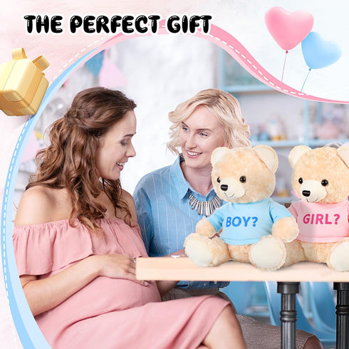 2 Pack Gender Reveal Bears, 14 Inch Blue and Pink T-Shirt Plush Bears for Baby Shower Decoration