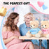 2 Pack Gender Reveal Bears, 14 Inch Blue and Pink T-Shirt Plush Bears for Baby Shower Decoration