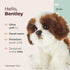 13-Inch Bearington Collection Shih Tzu Stuffed Animal Plush Puppy - Barkston Shih Tzu - Realistic Soft & Cuddly Stuffed