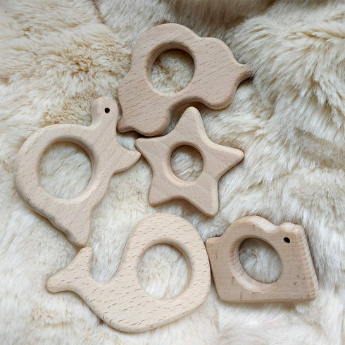 10pcs Lovely Cartoon Wood Camera Teether, Pure Natural Animal Shape Beech Wooden Teething Toys