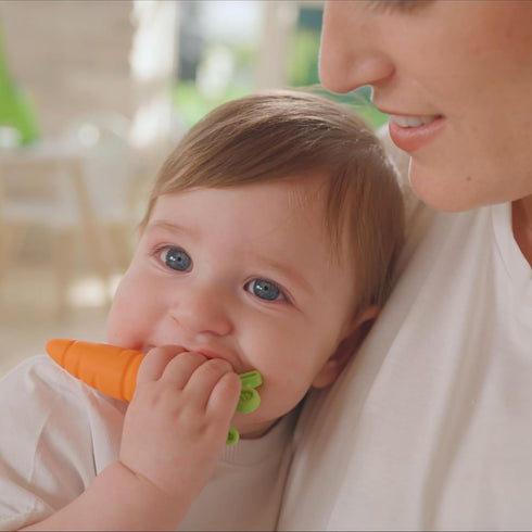 (2-Pack) 3+ Nuby Silicone Carrot Tube Teether and Messaging Infant Teether - Baby Teething Toy - Months