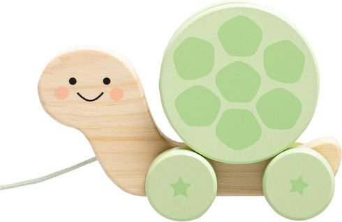 Pearhead Wooden Turtle Push and Pull Toy, Montessori Shake and Rattle Shell,