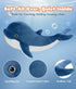 Animal,3PCS Set,Orca Tezituor Whale Stuffed Whales Plush Toys Whale,Beluga Whale,Blue Whale,Gifts for Kids Boys Girls