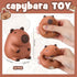 24 Meooeck Pcs Capybara Stress Balls for Adults Mini Capybara Stretchy Fidget Ball Fake Animal Squeeze Balls for Easter