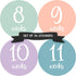 Pregnancy Weekly Belly Growth Stickers - 36 pcs Purple Pink, Matte Finish for Maternity Photo Sessions