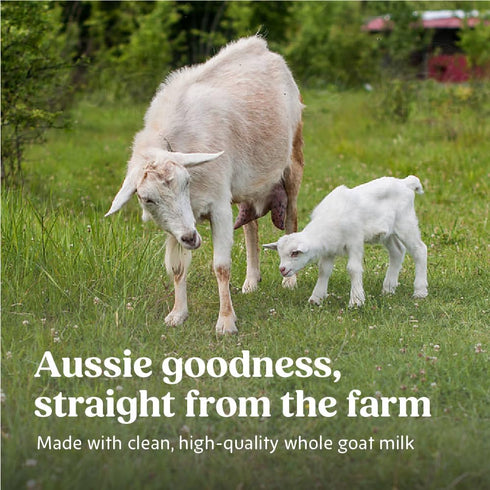 0-12 20 oz Bubs Whole Goat Milk Formula with Iron, Goat Milk-Based Powder, for Infants Months, Made with Non-GMO Goat