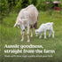 0-12 20 oz Bubs Whole Goat Milk Formula with Iron, Goat Milk-Based Powder, for Infants Months, Made with Non-GMO Goat