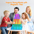 Set: 16PCS Pack Set 3+ Magnetic Tiles Building Block Isosceles Triangle Expansion Construction Building Blocks, Starter