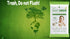 Pack (12 Packs 20) 240 Baby Green Wipes Unscented compostable Organic Biodegradable Travel of for Sensitive Skin