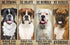 Animal Jigsaw Puzzles 1000 Pieces for Adults - Boxer Dog Lover Puzzle, Home Decor Gift