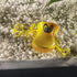 BinaryABC Ducks Call Whistles Lanyard - 12PCS Plastic Noisemakers Funny Party Blowouts Supplies