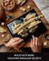 Set, Set (798 NF10351) Nifeliz Triceratops Fossil Model Dinosaur Skeleton Building for Adults and Collectors, Ideal