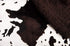 Tadpoles Double Layer Baby Blanket, Sherpa Cowhide Print, 30" x 40", Soft Plush Polyester Microfiber