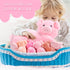 Honoson Nurturing Pig Stuffed Animal with Babies, Soft Plush Set for Toddlers, 4 Magnetic Baby Pigs