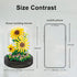 Sunflower Flower Bouquet Set, Mini Bricks Botanical Collection Flowers, Assembly Bonsai Tree Friends Sets, Gift for