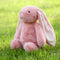 Farnesaa Weighted Stuffed Animal Bunny, 2Lbs Weighted Stuffed Animals Rabbit, 16" Heatable and