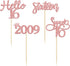 Gyufise 24 Pack Rose Gold Glitter 16th Birthday Cupcake Toppers, Hello Sweet 16 Sixteen Since 2009 Cake Decorations