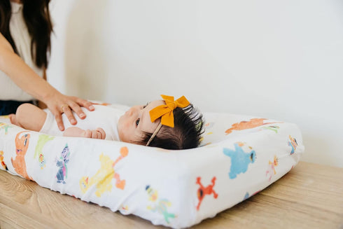 Premium Knit Changing Pad Cover by Copper Pearl, Soft & Stylish Universal Fit, Trendy Design, Sesame Friends
