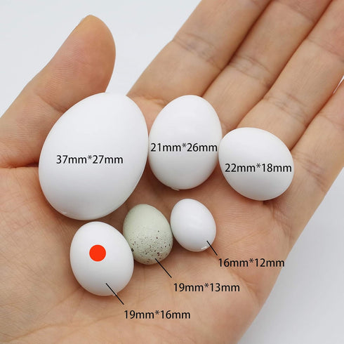 FOIBURELY 8 Eggs19mm*16mm Pcs Solid Parrot Plastic Eggs Hatching Eggs ParrotletBudgie ParakeetDiamond Dove Trick The