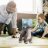 Dinosaur Plush Toy - 16" Parasaurolophus Stuffed Animal, Soft Fluffy Friend Hugging Cushion